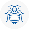 Bed Bug Extermination In Crystal Palace