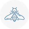Bee Nest Removal Crystal Palace