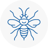 Crystal Palace Hornet Nest Removals