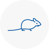 Mice Exterminators In Crystal Palace
