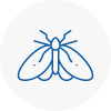 Moth Control Specialists In Crystal Palace