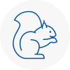 Crystal Palace Rodent Removals