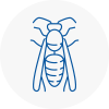 Crystal Palace Wasp Nest Removal